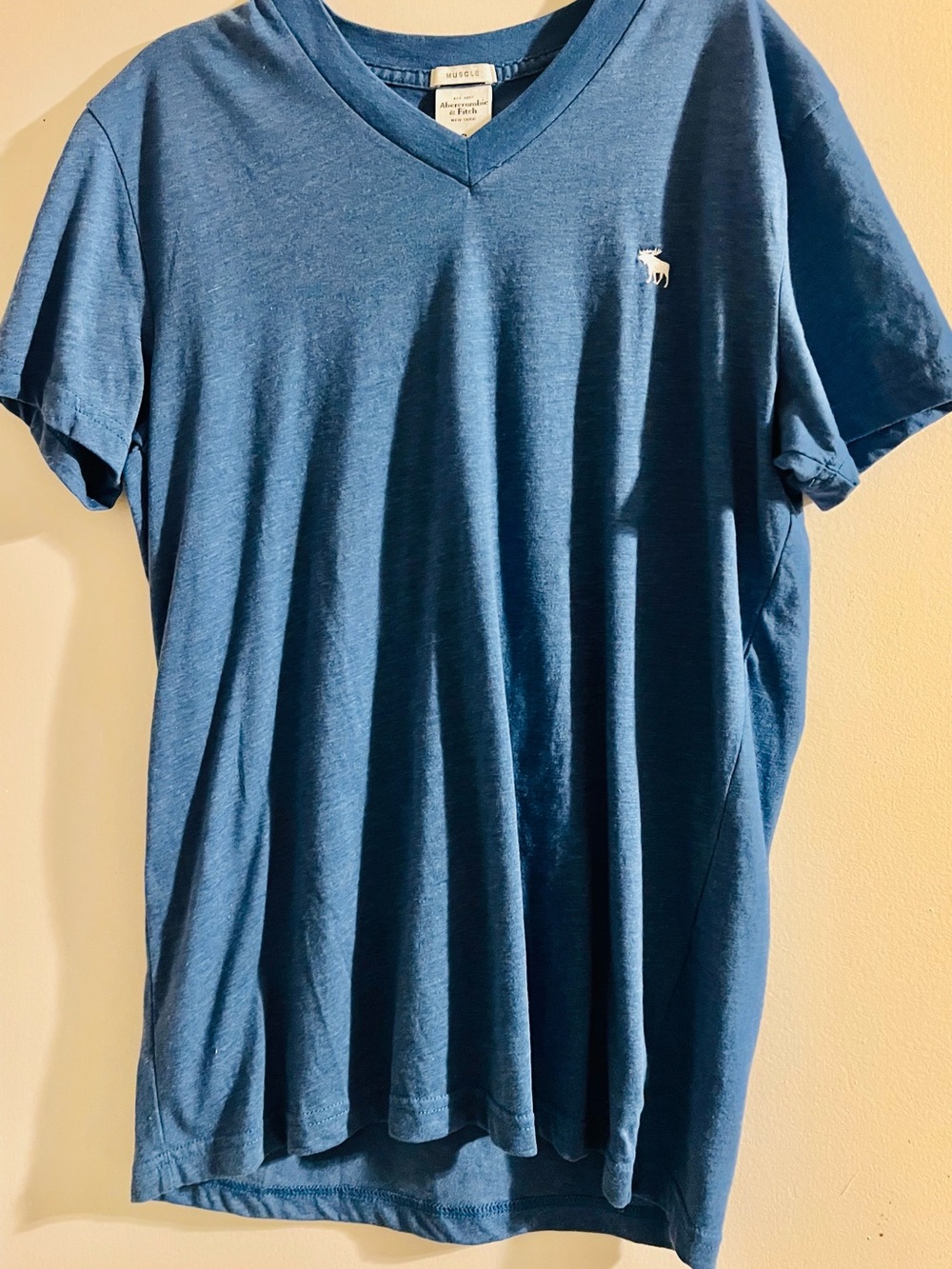 Abercrombie & Fitch Men's Blue V-Neck Tee S